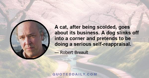 A cat, after being scolded, goes about its business. A dog slinks off into a corner and pretends to be doing a serious self-reappraisal.