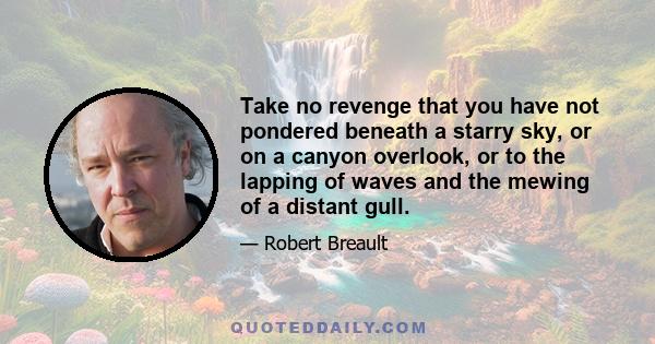 Take no revenge that you have not pondered beneath a starry sky, or on a canyon overlook, or to the lapping of waves and the mewing of a distant gull.