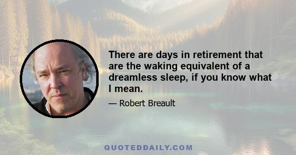 There are days in retirement that are the waking equivalent of a dreamless sleep, if you know what I mean.