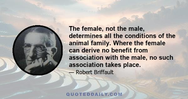 The female, not the male, determines all the conditions of the animal family. Where the female can derive no benefit from association with the male, no such association takes place.