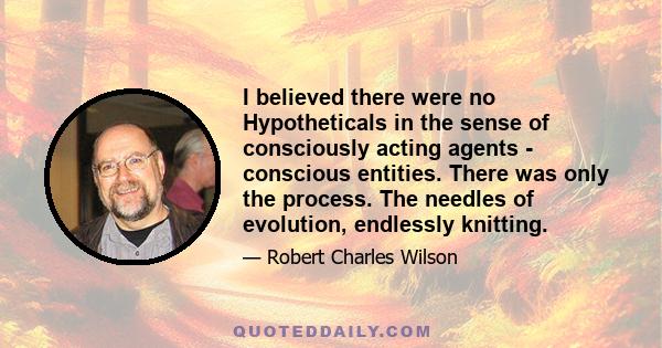 I believed there were no Hypotheticals in the sense of consciously acting agents - conscious entities. There was only the process. The needles of evolution, endlessly knitting.