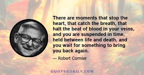 There are moments that stop the heart, that catch the breath, that halt the beat of blood in your veins, and you are suspended in time, held between life and death, and you wait for something to bring you back again.