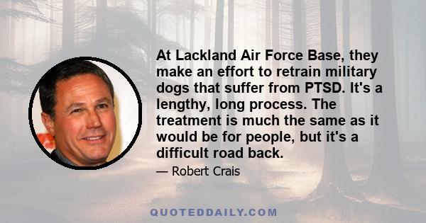 At Lackland Air Force Base, they make an effort to retrain military dogs that suffer from PTSD. It's a lengthy, long process. The treatment is much the same as it would be for people, but it's a difficult road back.