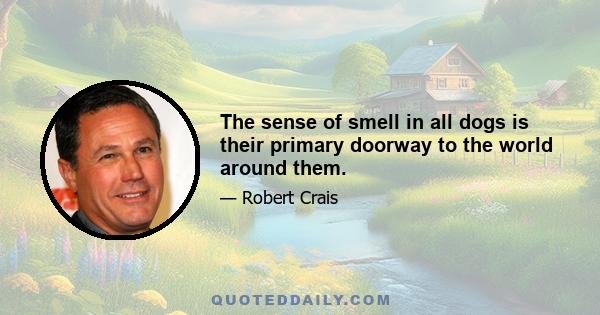 The sense of smell in all dogs is their primary doorway to the world around them.