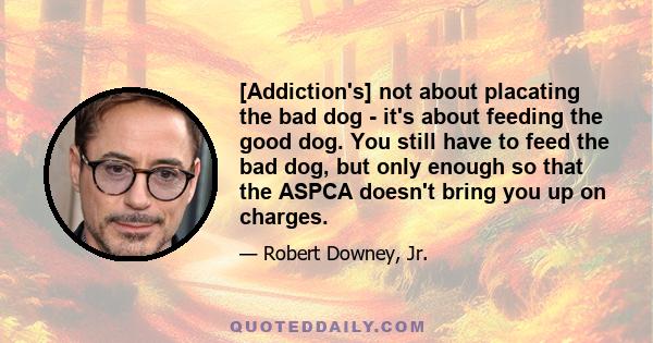 [Addiction's] not about placating the bad dog - it's about feeding the good dog. You still have to feed the bad dog, but only enough so that the ASPCA doesn't bring you up on charges.