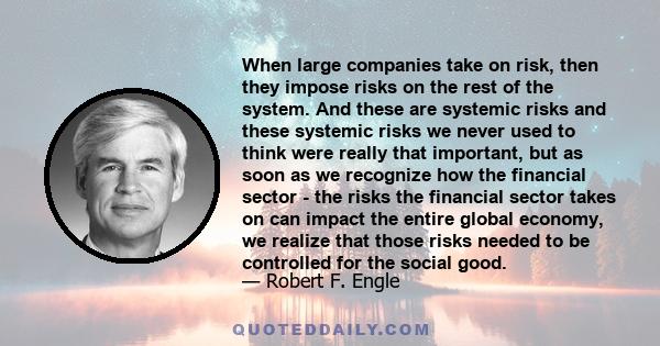 When large companies take on risk, then they impose risks on the rest of the system. And these are systemic risks and these systemic risks we never used to think were really that important, but as soon as we recognize