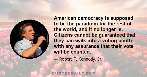 American democracy is supposed to be the paradigm for the rest of the world, and it no longer is. Citizens cannot be guaranteed that they can walk into a voting booth with any assurance that their vote will be counted.