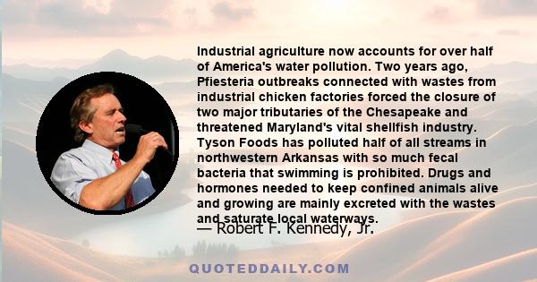 Industrial agriculture now accounts for over half of America's water pollution. Two years ago, Pfiesteria outbreaks connected with wastes from industrial chicken factories forced the closure of two major tributaries of