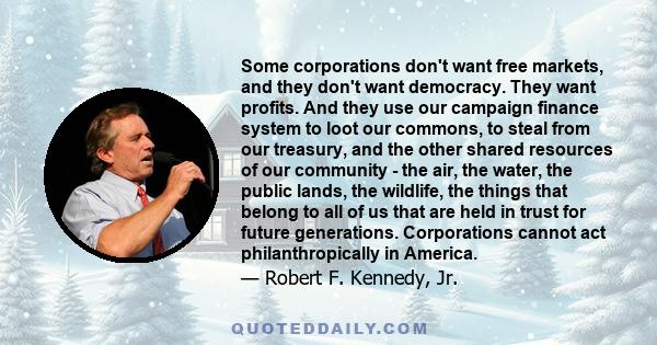 Some corporations don't want free markets, and they don't want democracy. They want profits. And they use our campaign finance system to loot our commons, to steal from our treasury, and the other shared resources of