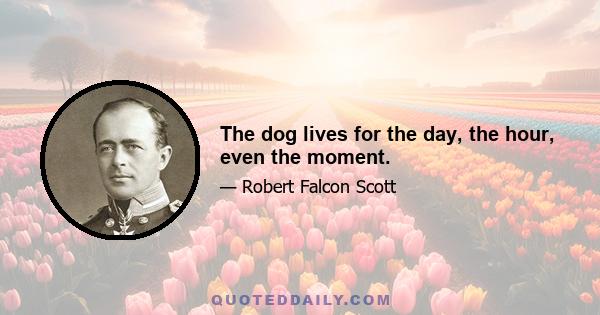 The dog lives for the day, the hour, even the moment.