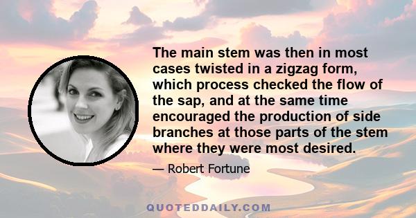 The main stem was then in most cases twisted in a zigzag form, which process checked the flow of the sap, and at the same time encouraged the production of side branches at those parts of the stem where they were most