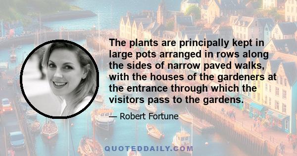 The plants are principally kept in large pots arranged in rows along the sides of narrow paved walks, with the houses of the gardeners at the entrance through which the visitors pass to the gardens.