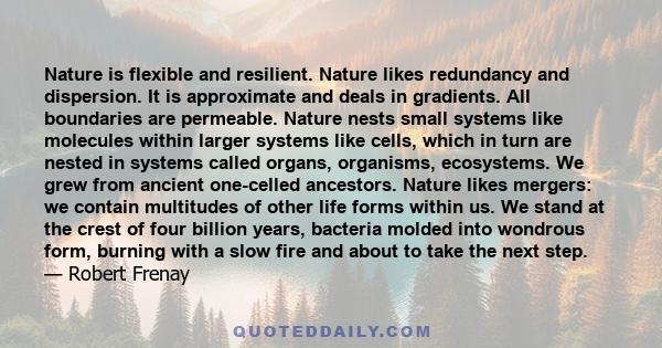 Nature is flexible and resilient. Nature likes redundancy and dispersion. It is approximate and deals in gradients. All boundaries are permeable. Nature nests small systems like molecules within larger systems like