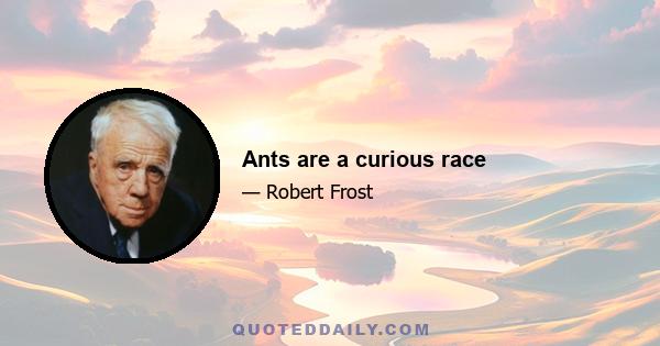 Ants are a curious race