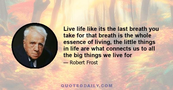 Live life like its the last breath you take for that breath is the whole essence of living, the little things in life are what connects us to all the big things we live for