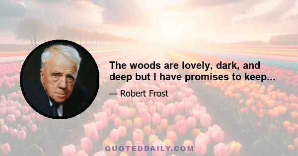 The woods are lovely, dark, and deep but I have promises to keep...