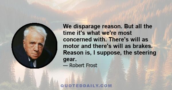 We disparage reason. But all the time it's what we're most concerned with. There's will as motor and there's will as brakes. Reason is, I suppose, the steering gear.