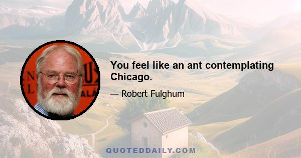 You feel like an ant contemplating Chicago.