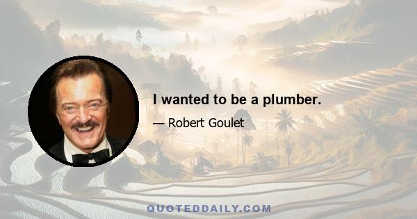 I wanted to be a plumber.