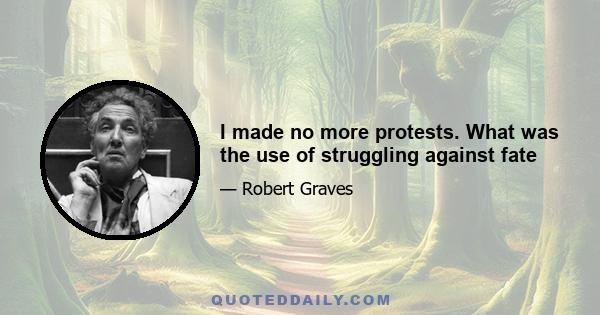 I made no more protests. What was the use of struggling against fate