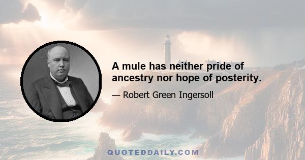 A mule has neither pride of ancestry nor hope of posterity.