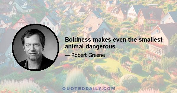 Boldness makes even the smallest animal dangerous