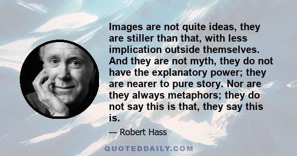 Images are not quite ideas, they are stiller than that, with less implication outside themselves. And they are not myth, they do not have the explanatory power; they are nearer to pure story. Nor are they always