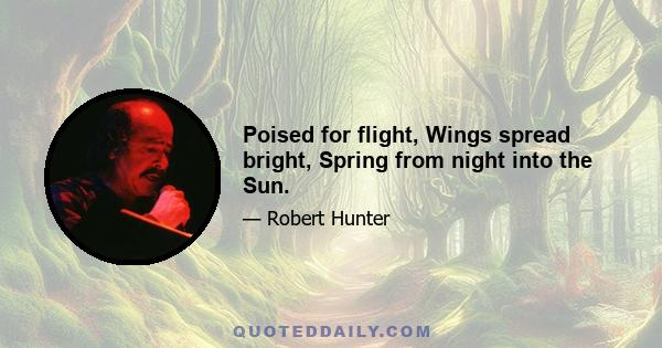 Poised for flight, Wings spread bright, Spring from night into the Sun.