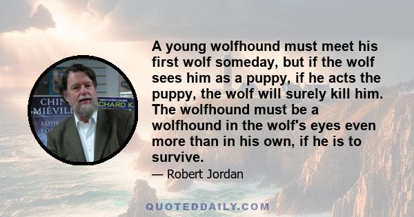 A young wolfhound must meet his first wolf someday, but if the wolf sees him as a puppy, if he acts the puppy, the wolf will surely kill him. The wolfhound must be a wolfhound in the wolf's eyes even more than in his