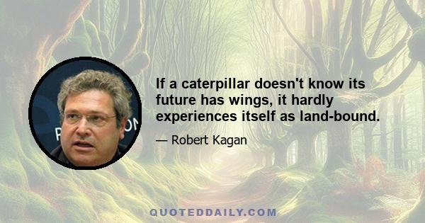 If a caterpillar doesn't know its future has wings, it hardly experiences itself as land-bound.