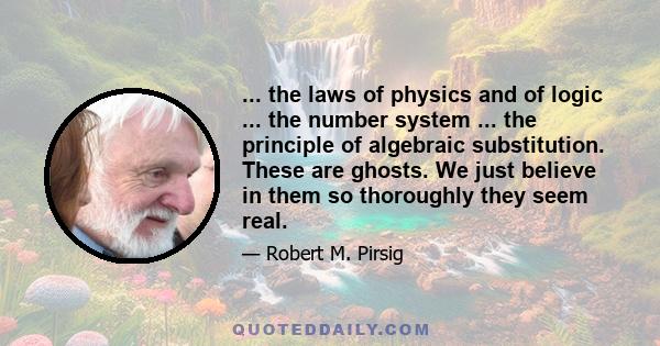 ... the laws of physics and of logic ... the number system ... the principle of algebraic substitution. These are ghosts. We just believe in them so thoroughly they seem real.