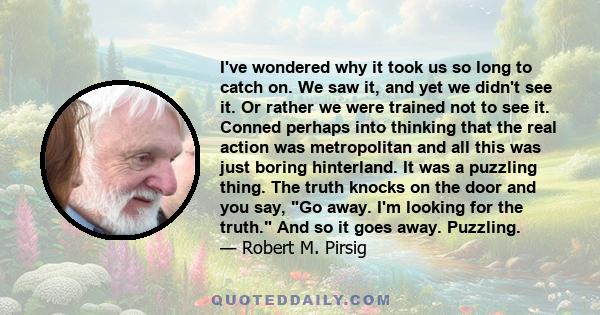 I've wondered why it took us so long to catch on. We saw it, and yet we didn't see it. Or rather we were trained not to see it. Conned perhaps into thinking that the real action was metropolitan and all this was just