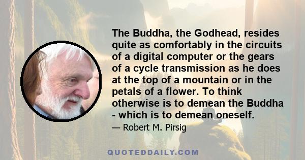 The Buddha, the Godhead, resides quite as comfortably in the circuits of a digital computer or the gears of a cycle transmission as he does at the top of a mountain or in the petals of a flower. To think otherwise is to 