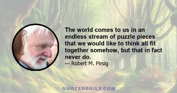 The world comes to us in an endless stream of puzzle pieces that we would like to think all fit together somehow, but that in fact never do.