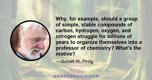 Why, for example, should a group of simple, stable compounds of carbon, hydrogen, oxygen, and nitrogen struggle for billions of years to organize themselves into a professor of chemistry? What's the motive?