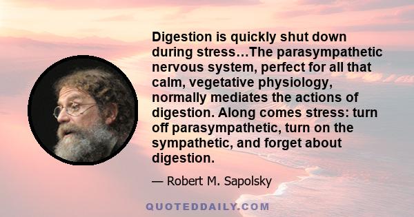 Digestion is quickly shut down during stress…The parasympathetic nervous system, perfect for all that calm, vegetative physiology, normally mediates the actions of digestion. Along comes stress: turn off