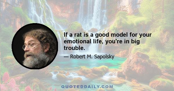 If a rat is a good model for your emotional life, you're in big trouble.