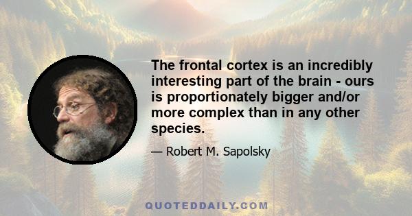 The frontal cortex is an incredibly interesting part of the brain - ours is proportionately bigger and/or more complex than in any other species.