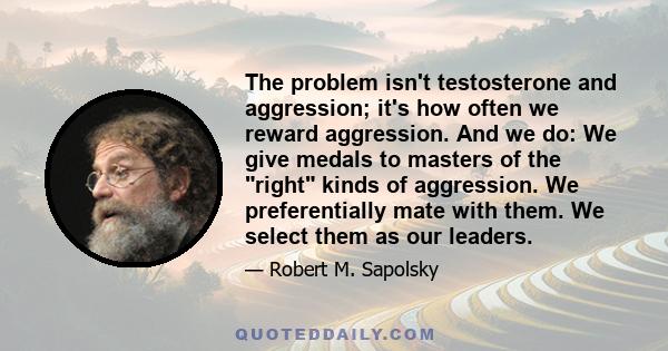 The problem isn't testosterone and aggression; it's how often we reward aggression. And we do: We give medals to masters of the right kinds of aggression. We preferentially mate with them. We select them as our leaders.