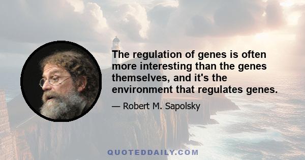 The regulation of genes is often more interesting than the genes themselves, and it's the environment that regulates genes.