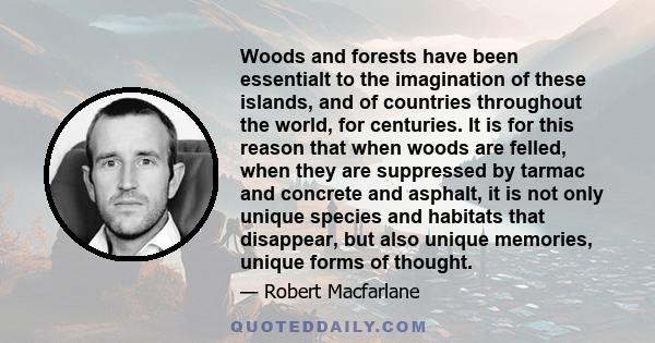 Woods and forests have been essentialt to the imagination of these islands, and of countries throughout the world, for centuries. It is for this reason that when woods are felled, when they are suppressed by tarmac and