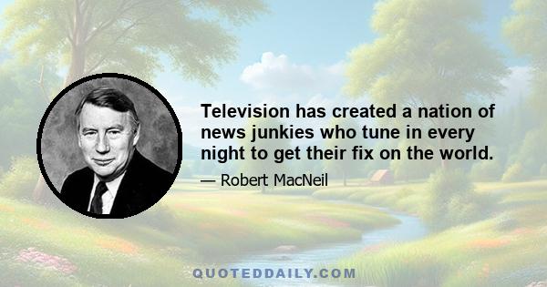 Television has created a nation of news junkies who tune in every night to get their fix on the world.