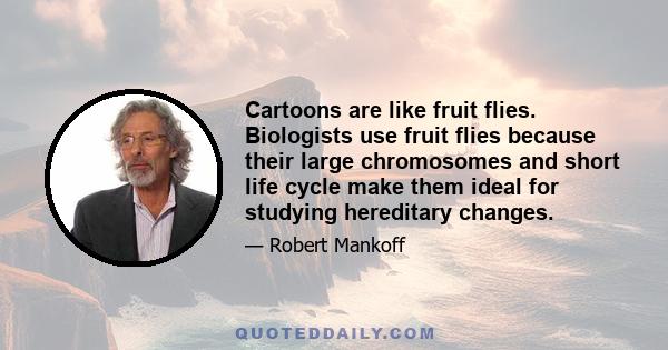 Cartoons are like fruit flies. Biologists use fruit flies because their large chromosomes and short life cycle make them ideal for studying hereditary changes.