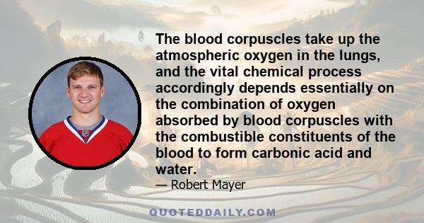 The blood corpuscles take up the atmospheric oxygen in the lungs, and the vital chemical process accordingly depends essentially on the combination of oxygen absorbed by blood corpuscles with the combustible