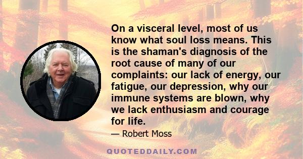 On a visceral level, most of us know what soul loss means. This is the shaman's diagnosis of the root cause of many of our complaints: our lack of energy, our fatigue, our depression, why our immune systems are blown,