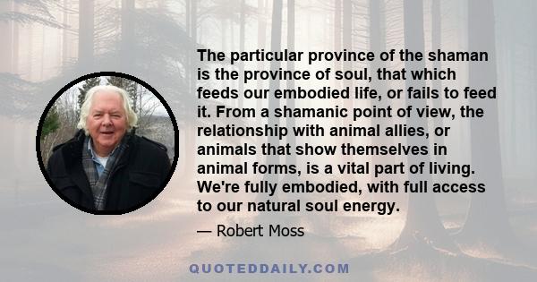 The particular province of the shaman is the province of soul, that which feeds our embodied life, or fails to feed it. From a shamanic point of view, the relationship with animal allies, or animals that show themselves 