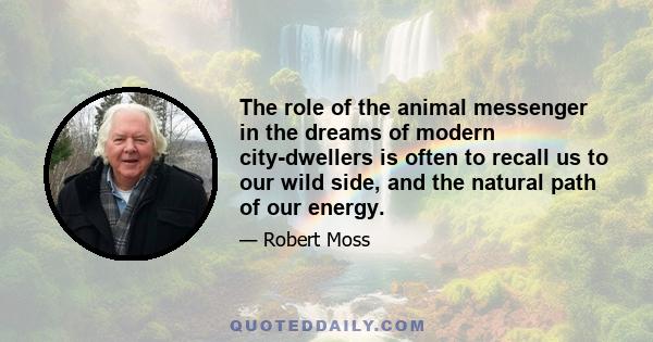 The role of the animal messenger in the dreams of modern city-dwellers is often to recall us to our wild side, and the natural path of our energy.