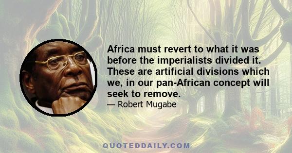 Africa must revert to what it was before the imperialists divided it. These are artificial divisions which we, in our pan-African concept will seek to remove.