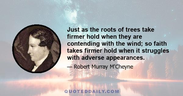 Just as the roots of trees take firmer hold when they are contending with the wind; so faith takes firmer hold when it struggles with adverse appearances.