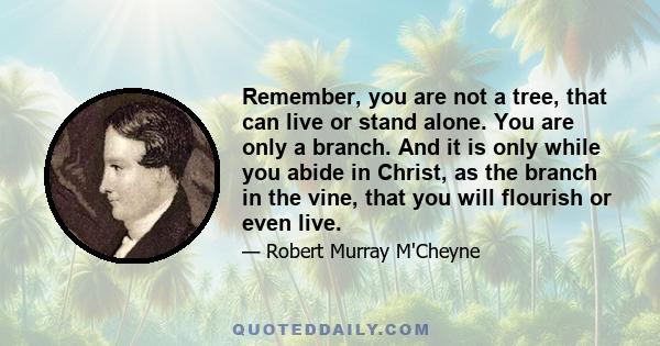 Remember, you are not a tree, that can live or stand alone. You are only a branch. And it is only while you abide in Christ, as the branch in the vine, that you will flourish or even live.